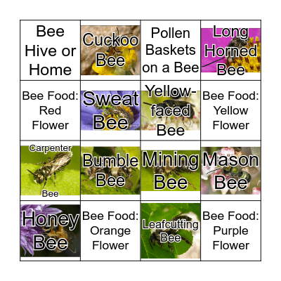 Bee Watchful and Bee Careful Scavenger Hunt Bingo Card