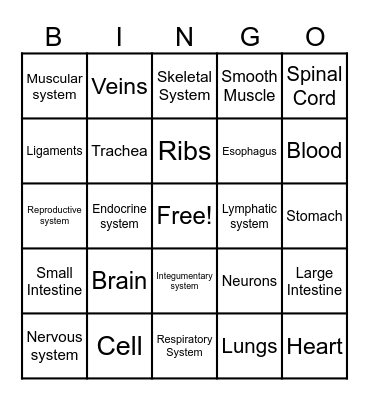 Human Body Systems Bingo Card
