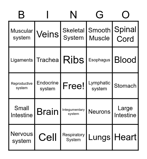 Human Body Systems Bingo Card