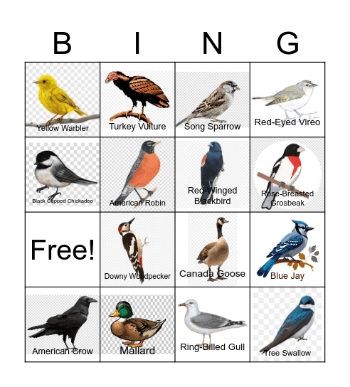 The Husaks Bird-Bonanza Bingo Card