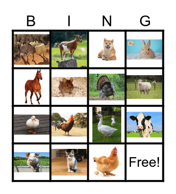 Pets and farm animals Bingo Card