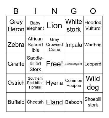 Zambian animals Bingo Card