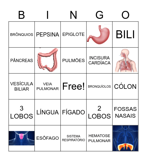 SISTEMA DIGESTÓRIO E RESPIRATÓRIO Bingo Card