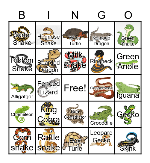 Reptile Bingo Card