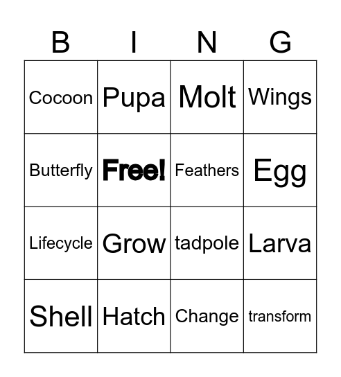 How do Animals Grow Bingo Card