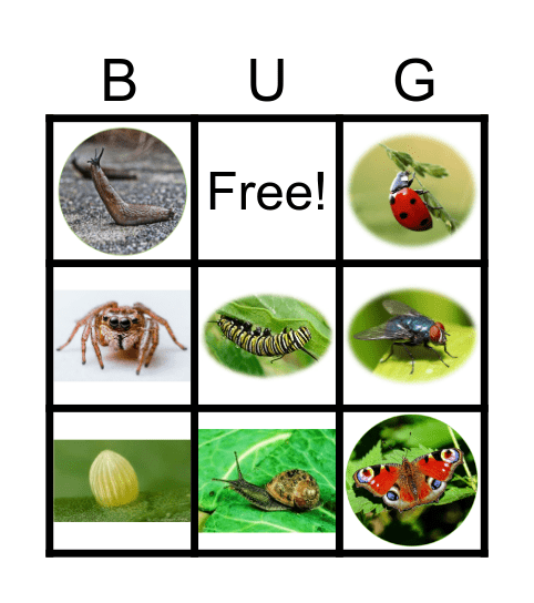 BUGS BINGO Card