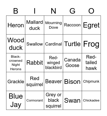 High Park Bingo Card