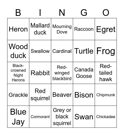 High Park Bingo Card