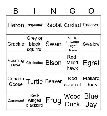 High Park Bingo Card