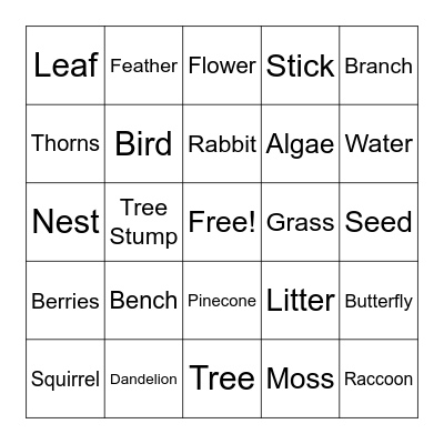 Nature Bingo - Sonia's Group! Bingo Card