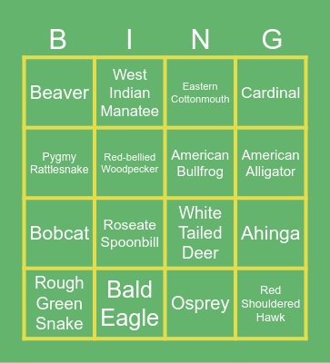 Everglades Bingo Card