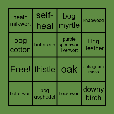 Delphi Flora Bingo Card