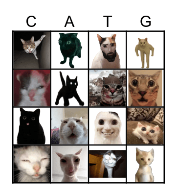 Cat Bingo Card