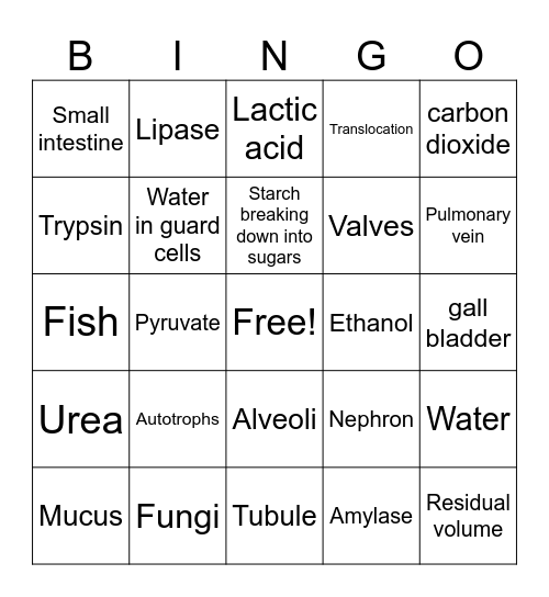 Life Processes Bingo Card