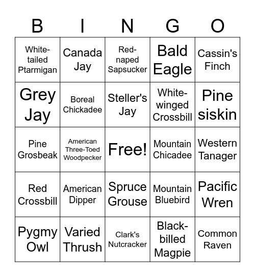 Banff Bird Bingo Card