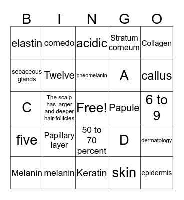 Ch. 7 Skin Structure, Growth, and Nutrition 2 Bingo Card