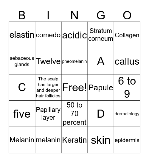 Ch. 7 Skin Structure, Growth, and Nutrition 2 Bingo Card