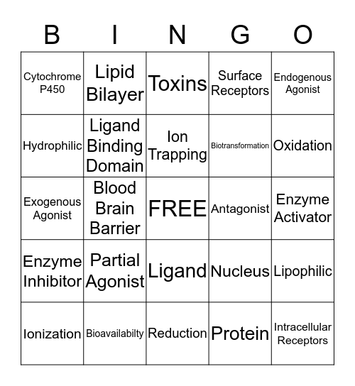 Review Game Bingo Card