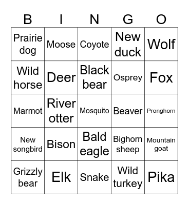 Wildlife Bingo Card