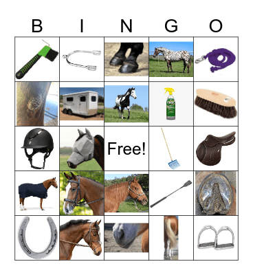 Horse Camp Bingo Card