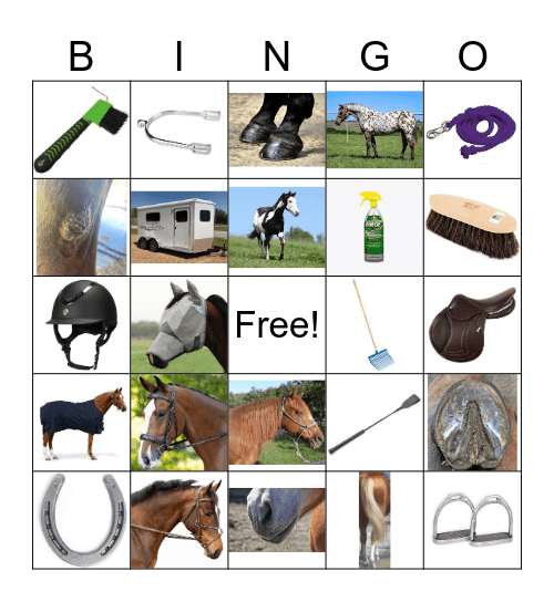 Horse Camp Bingo Card