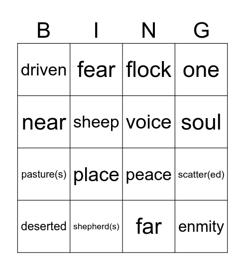 16th Sunday in Ordinary Time year B Bingo Card