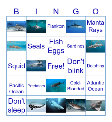 SHARK BINGO Card