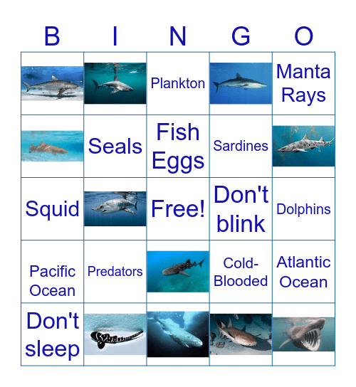 SHARK BINGO Card