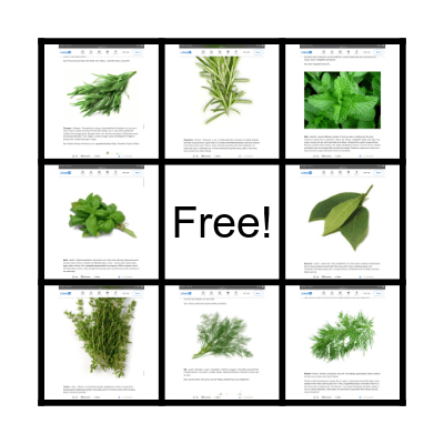 French Herb Bingo Card