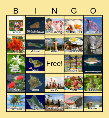 Things in Hawaii Bingo Card