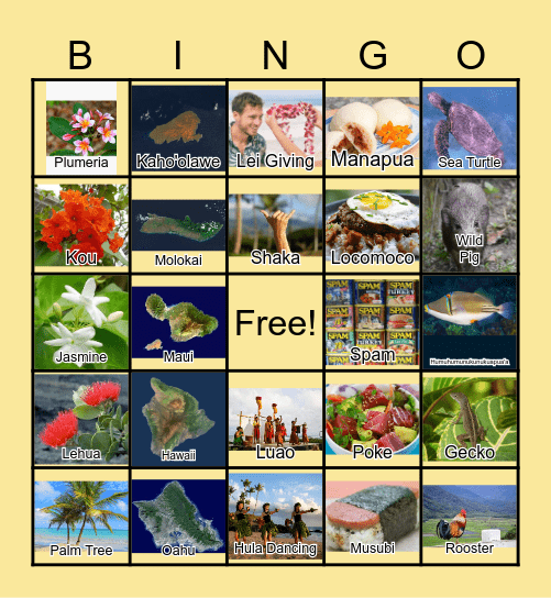 Things in Hawaii Bingo Card