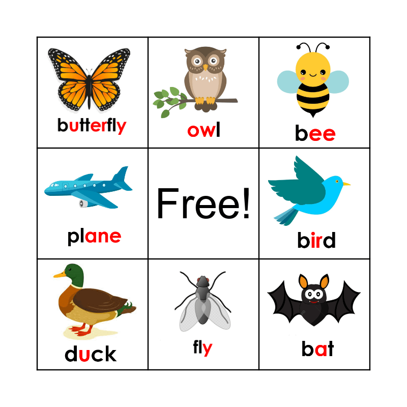 Things That Fly Bingo Card