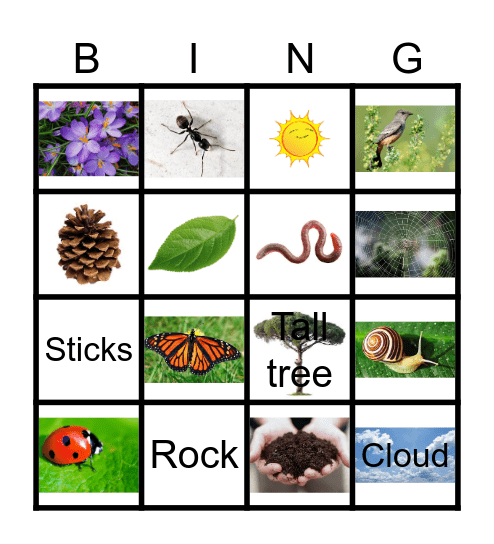 Scavenger Nature Hunt Bingo Card