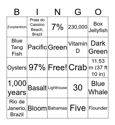 Beach Trivia Bingo Card
