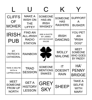 FAMILY VACAY IN IRELAND BINGO Card