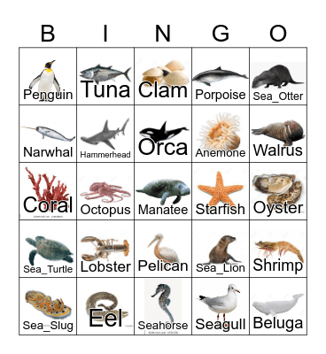 Marine Animals Bingo Card
