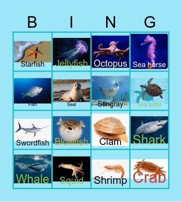 Marine animals Bingo Card