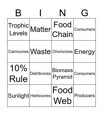 Ecology Vocabulary  Bingo Card