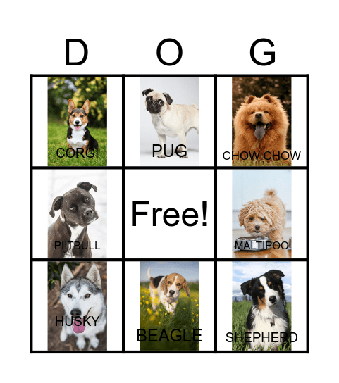 DOG BINGO Card