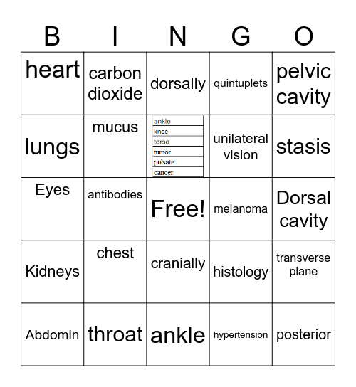 ESL Med Terminology I Bingo Card