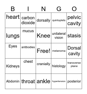 ESL Med Terminology I Bingo Card