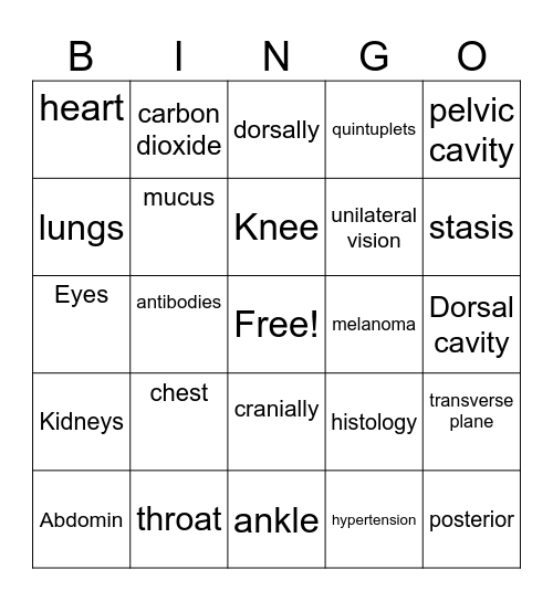 ESL Med Terminology I Bingo Card