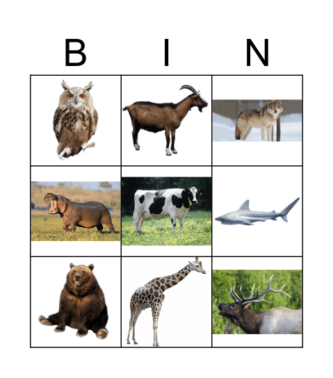 Unnatural habitat Animals Bingo Card