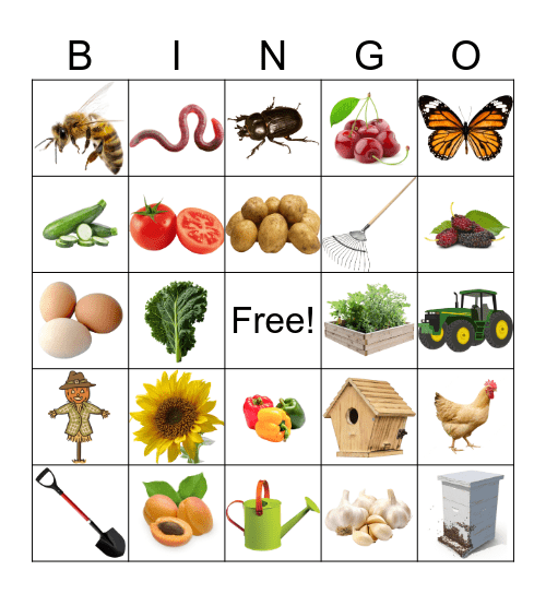 farm Bingo Card