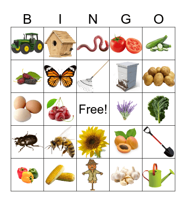 farm Bingo Card