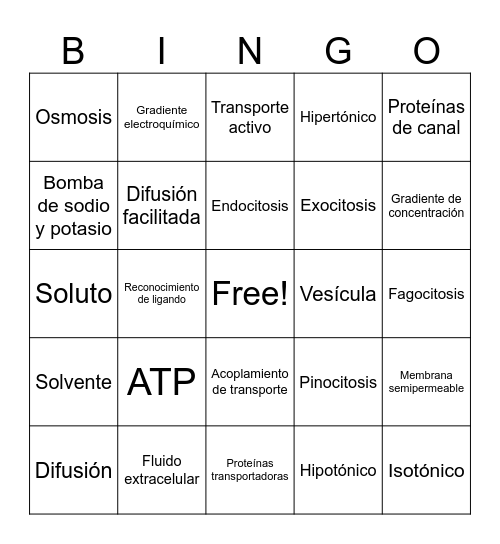 BINGO TRANSPORTE CÉLULAR Bingo Card