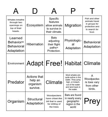 ANIMAL ADAPTATIONS Bingo Card