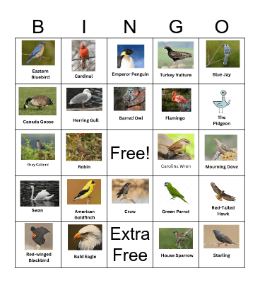 Bird Bingo Card
