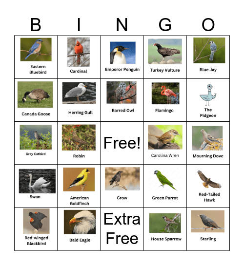 Bird Bingo Card