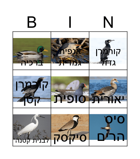 ציפורים Bingo Card
